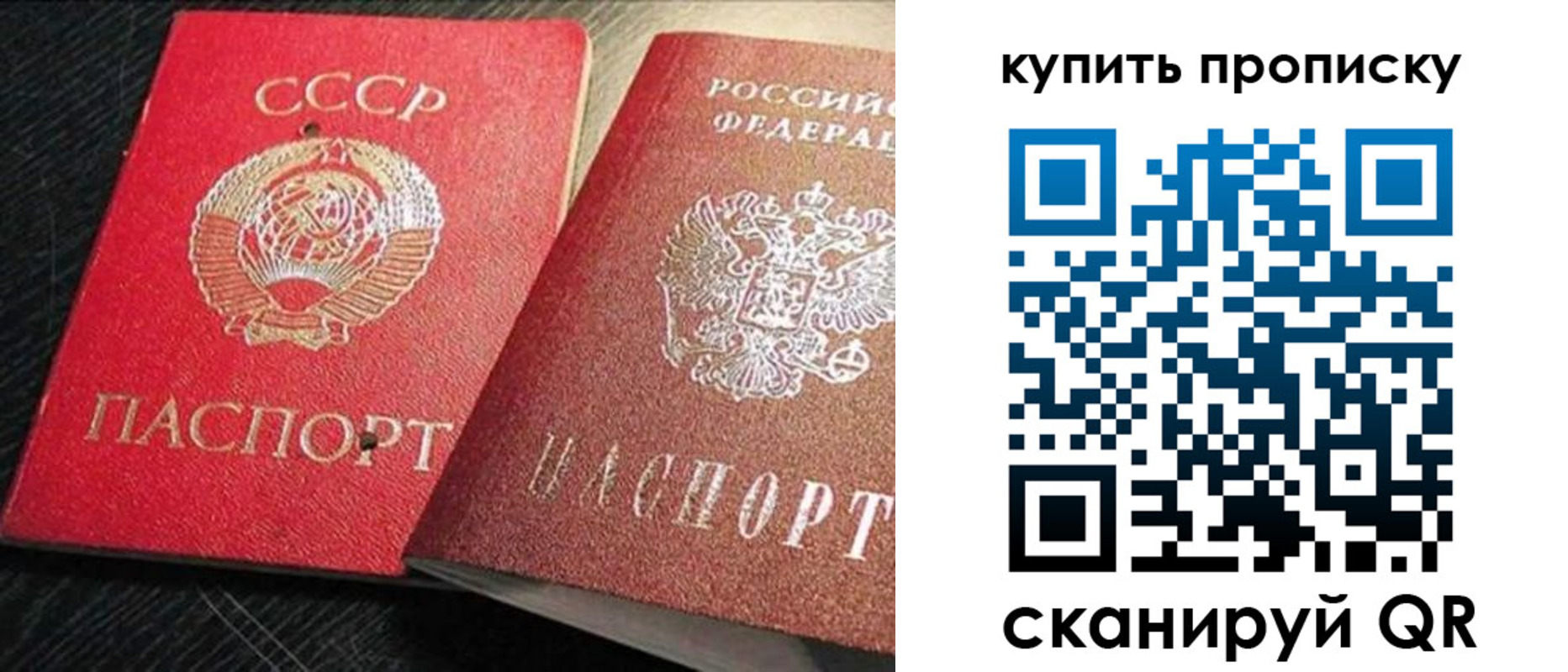временная регистрация гарантия в Светлогорске