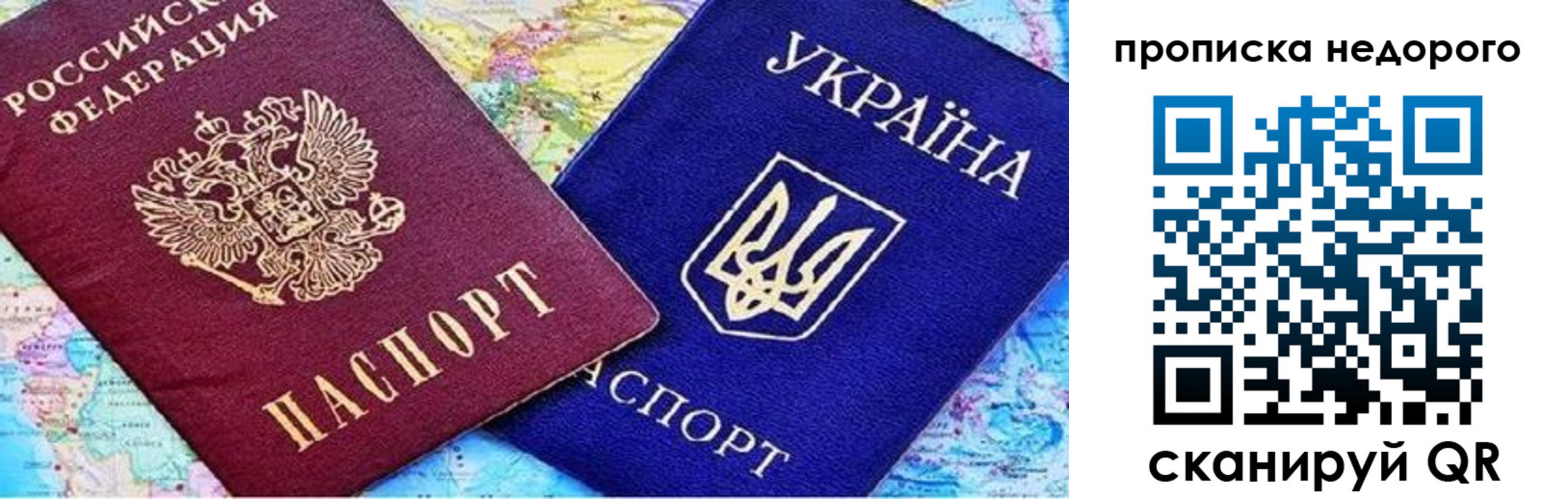 где прописаться в Светлогорске